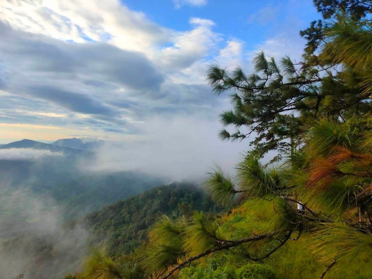 pr_prdnp's tweet photo. 🌤️ สัมผัสความเย็น 16°C กลางหน้าฝนที่ "ยอดภูเรือ" จ.เลย 🌲💚 เดินชิล 700 ม. สู่จุดสูงสุด 1,365 ม. ชมวิวพาโนรามาแม่น้ำโขง-เหือง แวะไหว้พระนาวาบรรพตบนยอดเขา ใครหาที่ฮีลใจกอดธรรมชาติ พลาดไม่ได้เลย! ✨
​#อุทยานแห่งชาติภูเรือ #ยอดภูเรือ #เลย #เที่ยวหน้าฝน https://t.co/Yb5gVf3nit
