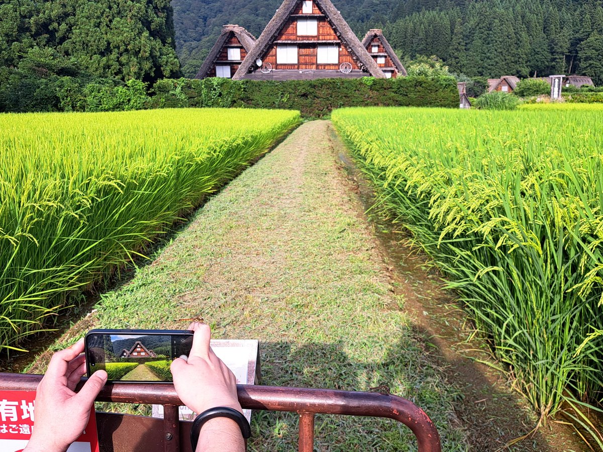 _guide_service_'s tweet photo. ✨本日、東京都からお越しのお客様を世界遺産白川郷へご案内✨夏空が広がる一日でしたが猛暑というほどではなく心地よい気候☀️🏡今回はお一人のお客様とご一緒に歴史や文化、昔ながらの暮らしについて実際の風景を見ながら。さらにアニメ**「ひぐらしのなく頃に」**に描かれた白川郷の魅力についても✨ https://t.co/eALYB6u5qB