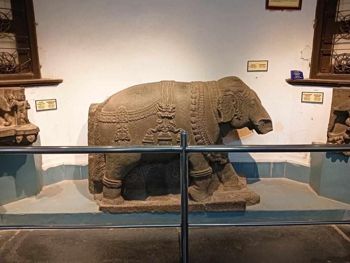 MadrasWalker's tweet photo. #elephantday #walkerclicks https://t.co/Hs7KoUMhlK