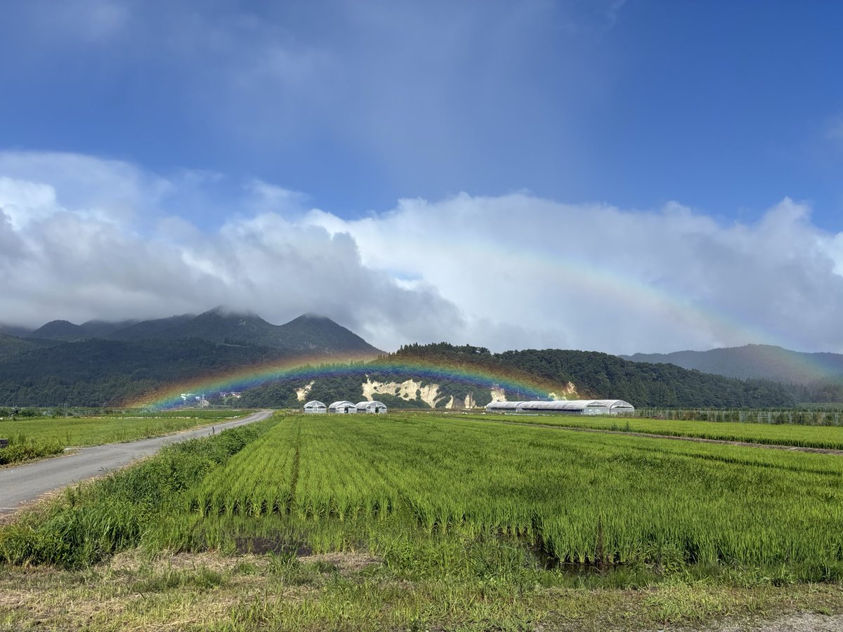 dokusyonista's tweet photo. 山が虹🌈る https://t.co/9kRkn2Rx1w