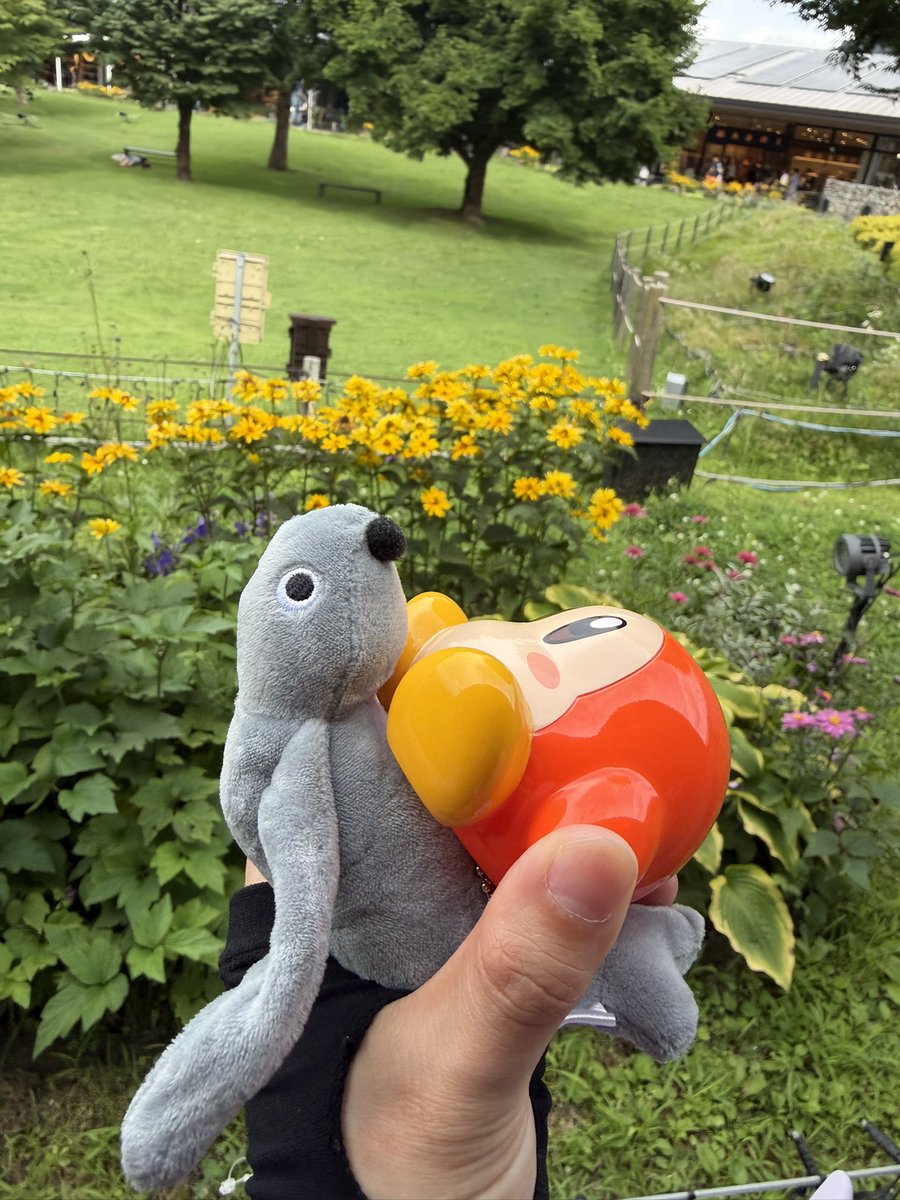 ChaaKluvt's tweet photo. 旅行先でピングーデスマッチ参加してみたのに、まさかのロビ🤣笑　ロビもワイヤー入りでした🤣 https://t.co/upz5pAIH97