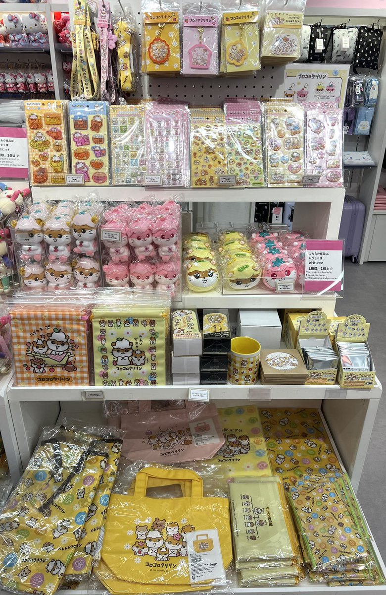 KL_shinjuku's tweet photo. 🌼キデイランド新宿店3F🌼

＼　🔔新商品のお知らせ🔔　／

8月14日より、「コロコロクリリン」の新商品が登場いたします🌼

マスコットに大人気のシール、その他雑貨など、数多くのラインナップをご用意致しております♪

ぜひチェックしてね✅

#コロコロクリリン 
#サンリオ https://t.co/WDBNZjaTWT