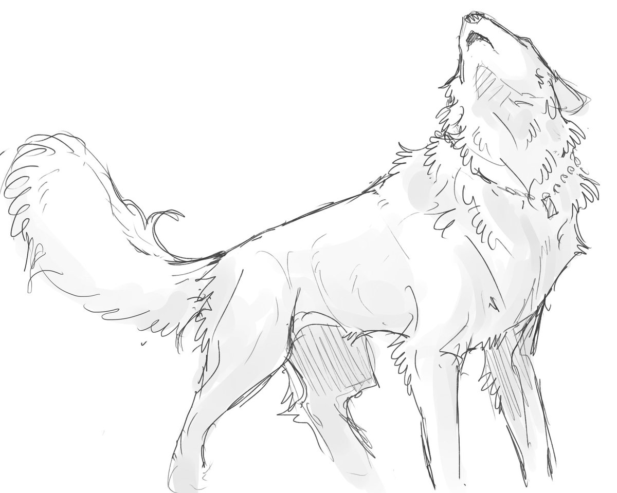 Wolf_okami_T's tweet photo. 狼の日！ https://t.co/YgC29M0Urw