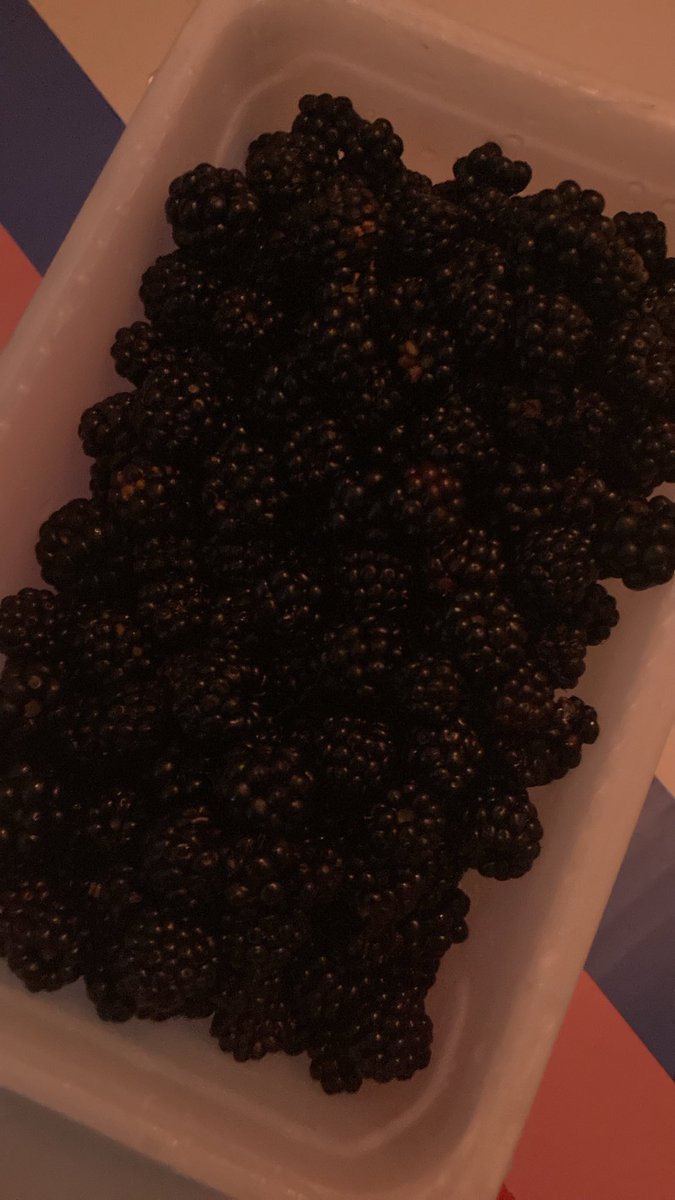 Pikonik_'s tweet photo. Eating a bunch of blackberries. https://t.co/BcL5STPgZH
