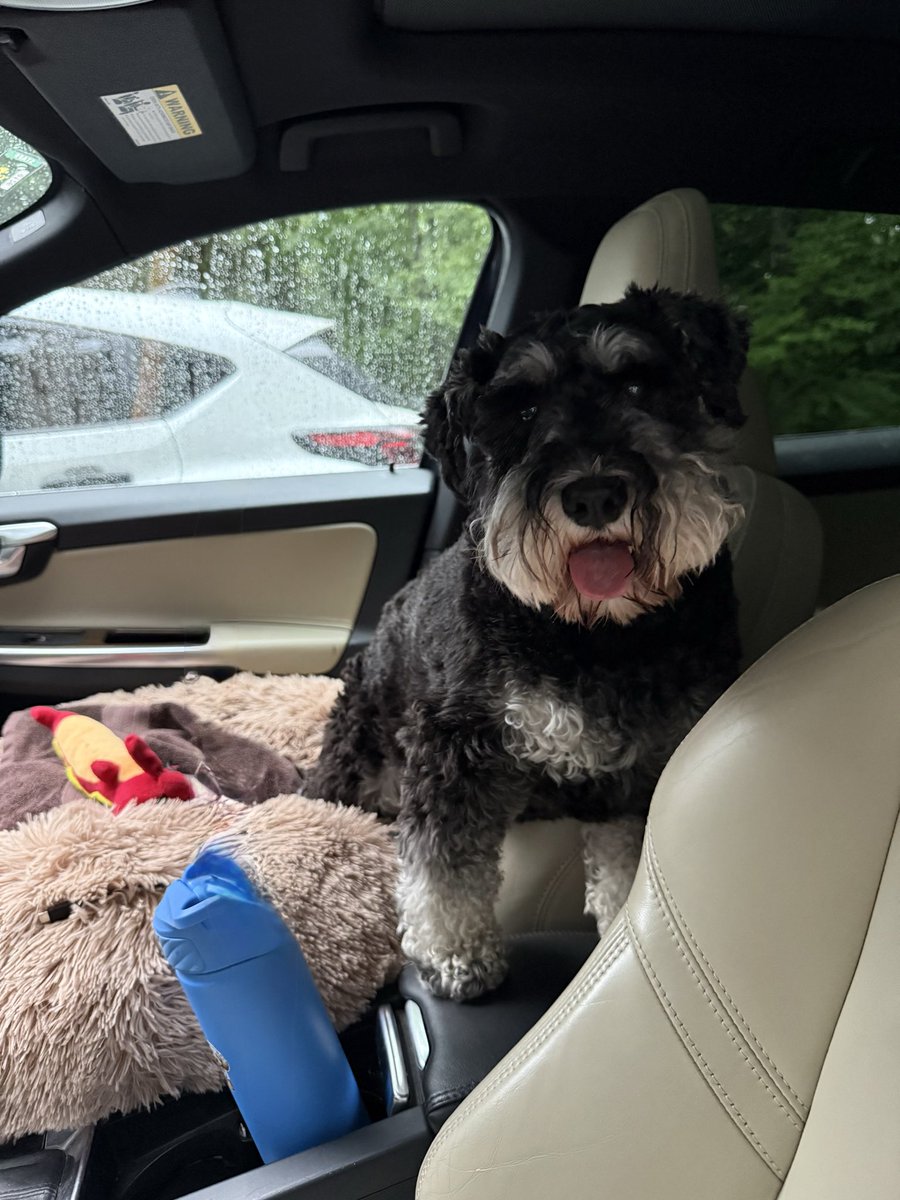 GusPeaches's tweet photo. @kristine_stone Kristine Stone! I just heard your Sinead shout out as I’m driving to groomer in Barre Vt! Spoiling me! 😍😍Furious on HULU!! Really good show! Cheers! https://t.co/THvzCU7oH8