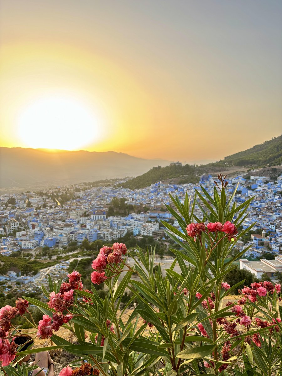 Aboraghib92's tweet photo. Sunset From Chefchouen City Morocco https://t.co/ymsQWBp6fI