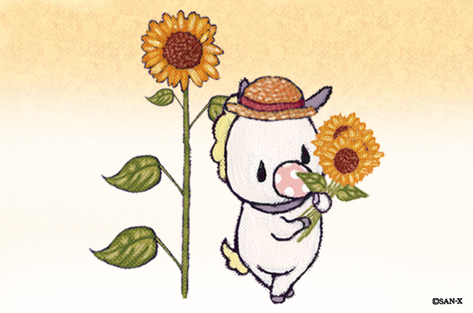 Senti_official's tweet photo. お疲れさまの　何処かの　アナタへ
お日様色の　お土産を https://t.co/jfAJWyDBLL