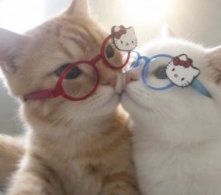 cutecorestar's tweet photo. could be us https://t.co/QGC7rJLuIo