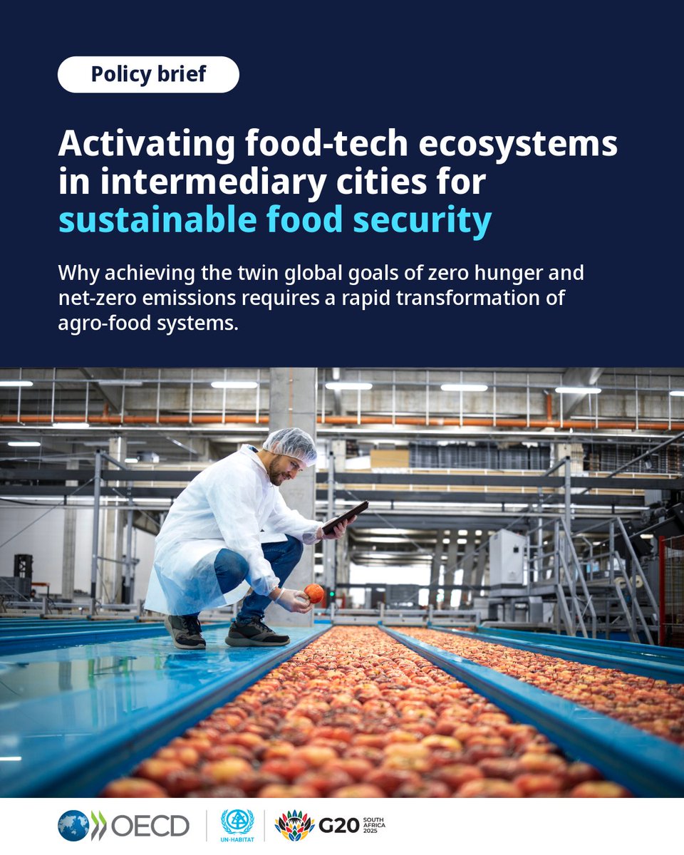 OECDdev tweet picture