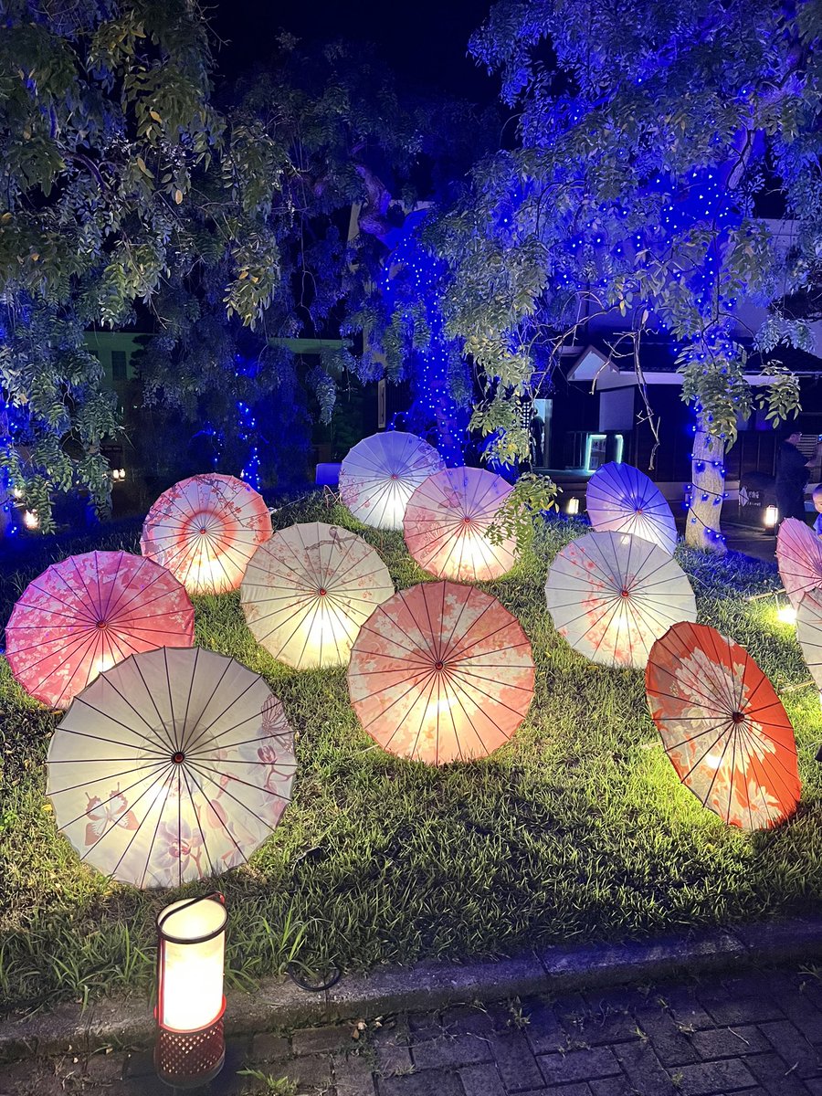 yawtora's tweet photo. 走りに行ったら夏あかりイベントやってた✨️
涼しい夜だけど汗だく😥 https://t.co/pmFw79rnrf