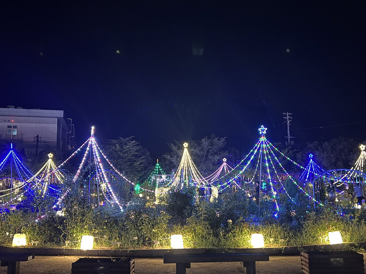 yawtora's tweet photo. 走りに行ったら夏あかりイベントやってた✨️
涼しい夜だけど汗だく😥 https://t.co/pmFw79rnrf