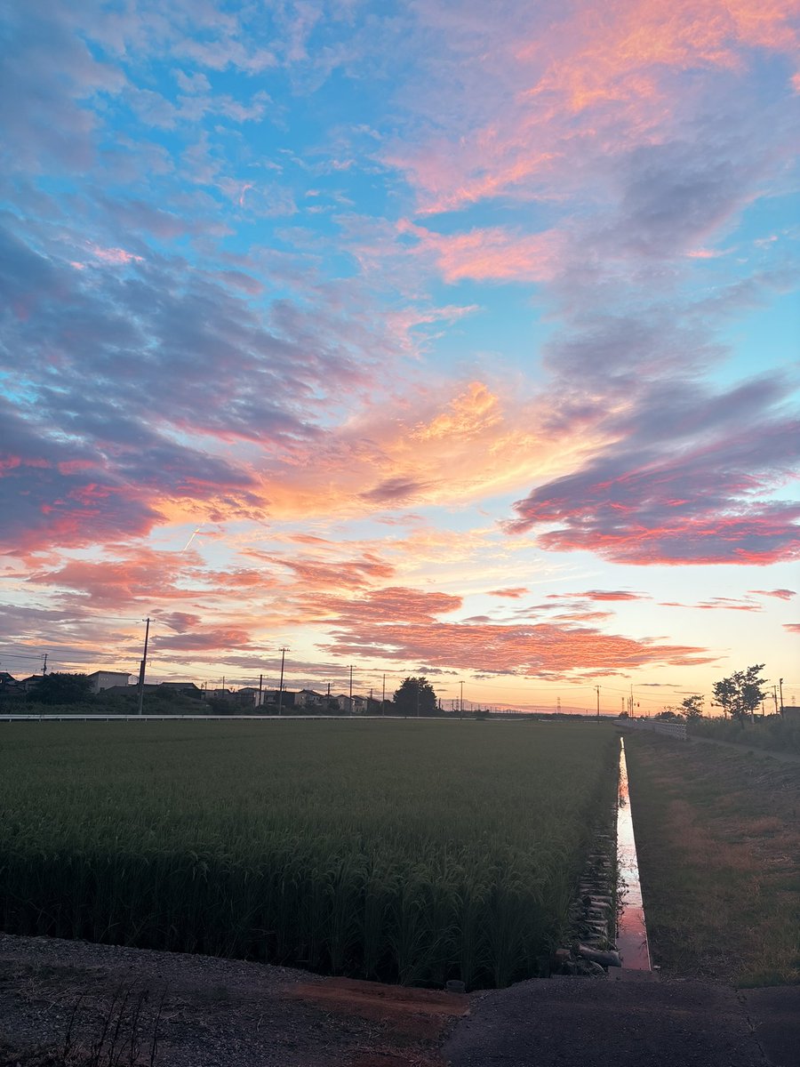 saara_0607's tweet photo. 新潟の空。こういう景色だいすき https://t.co/1NRrnESvbN