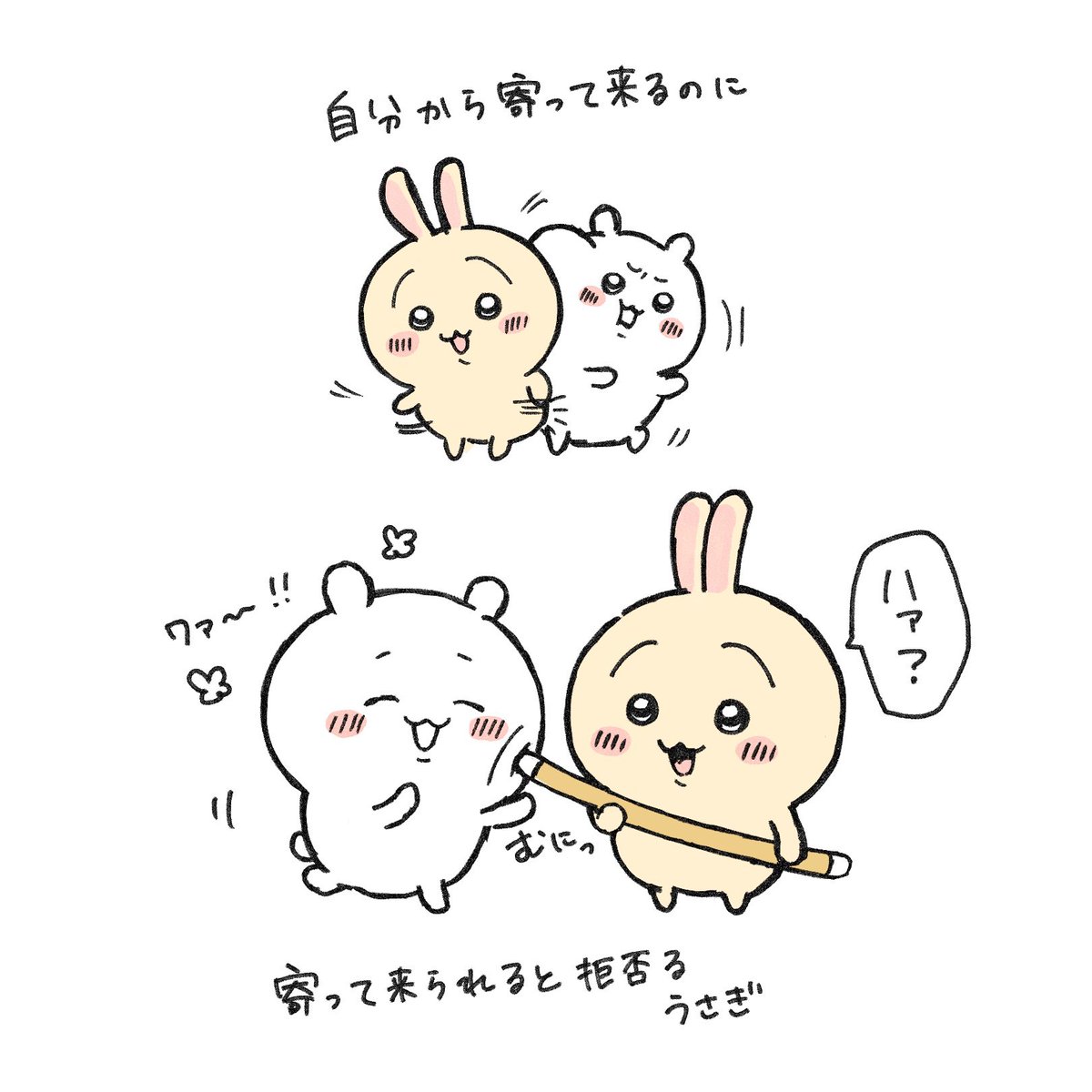 omu__0606's tweet photo. 好きです https://t.co/pRJNJZhpe4