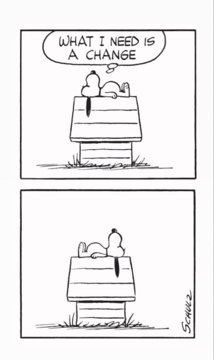 lavidaenvinetas's tweet photo. Charles M. Schulz https://t.co/zrmlFHnTUP
