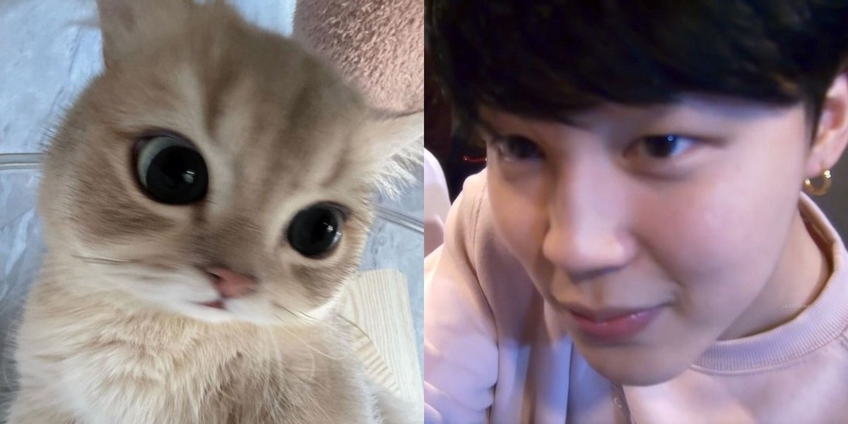 pjmmuse_'s tweet photo. tl cleanse with this cutie https://t.co/8V9lLbzBHA
