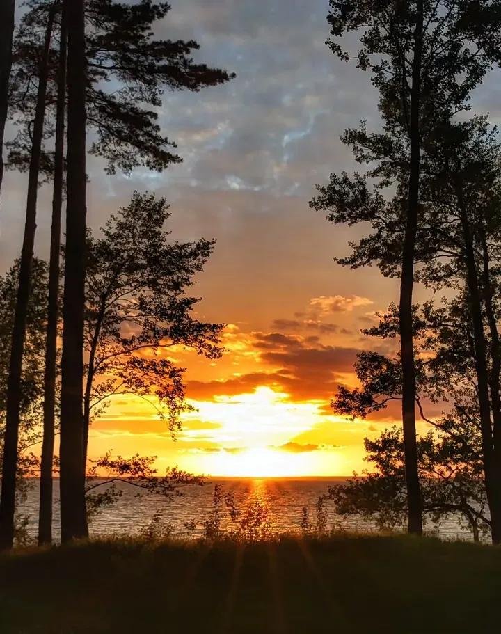 Nadezdamr's tweet photo. Очень красивый закат.
#Belarus https://t.co/w1rc7wLPC7