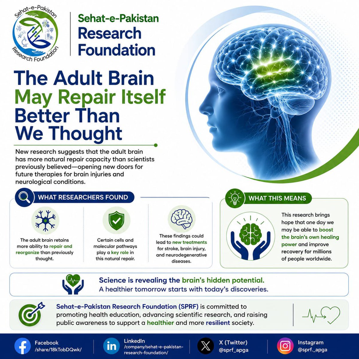sprf_apga's tweet photo. 🧠 New research suggests the adult brain may retain more ability to repair and reorganize than once believed, offering hope for future brain injury recovery. 💚 #SPRF https://t.co/w8LiPWUmt6