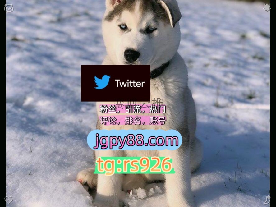 meme__saku's tweet photo. Be careful and watch your own true actions.
推广推特账号外☺facebook热门号
海外获客🪐主人的任务🌱推特账号注册号北1京、上1海、广1州、深2圳‌
自动脚本上门围749759霸屏🪐群发私信💐海外获客🍀
代发乌鲁木齐代发银川   🤤客.服看→资.料
海外流量、品牌推广、社媒营销instagram🥋 https://t.co/1pa3poKcAM