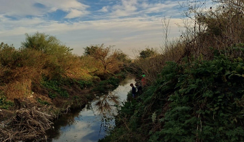 Red__Accion's tweet photo. Relevamiento de especies en el Parque Rural de Ministro Rivadavia: ¿por qué es necesario un Biocorredor en Almirante Brown?

Se incrementan los loteos y el Municipio no responde sobre los servicios públicos de arreglo de calles y recolección de residuos. https://t.co/bHMVNVVYJp https://t.co/AtH9MUkWdO