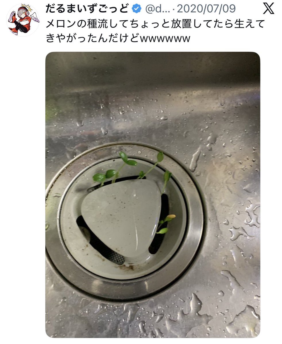 Lama_vspoS2's tweet photo. この界隈面白い🍈🧅 https://t.co/l6KK9Xcz7m