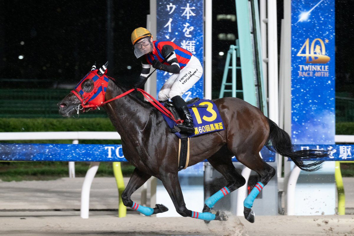 tck_keiba's tweet photo. 第60回 #黒潮盃 (SⅢ) の優勝馬は、兵庫の #ミルトイブニング(吉原騎手/保利厩舎)🏆

#西日本クラシック の覇者が、#大井競馬場 にて見事重賞タイトルを獲得しました👏

関係者の皆様、おめでとうございます🎊
#TCK #TW40 https://t.co/4YpcaoeAHx