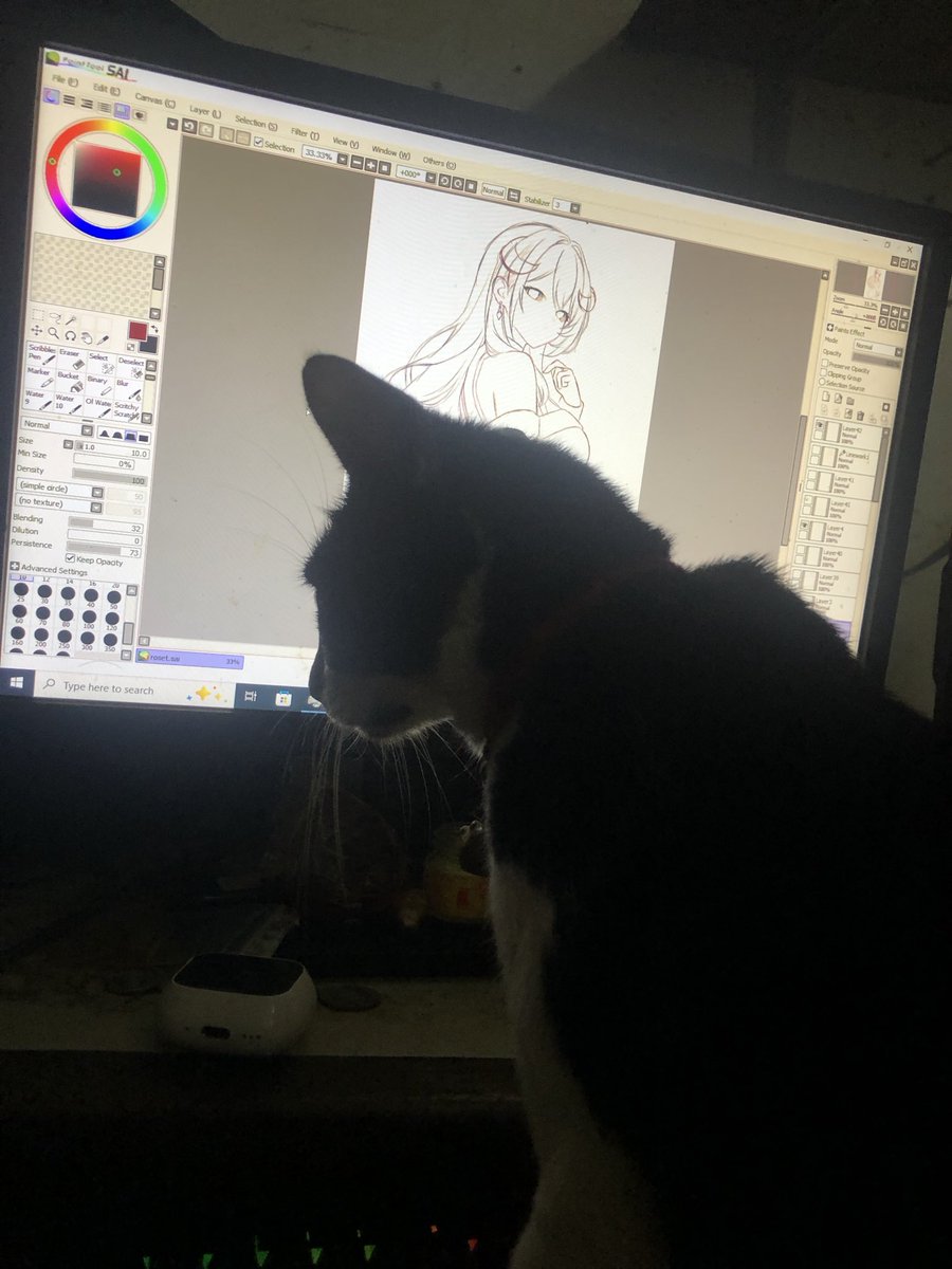 KafekawK's tweet photo. This monster 🐈 is so hungry it's interrupting my drawing time.

 I'm drawing. #シスター・ロゼッタ https://t.co/Bt8DsKhVtR