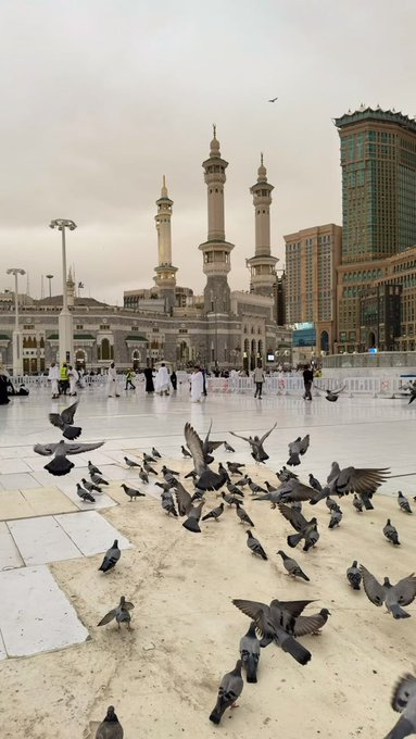mmasief's tweet photo. بِسْمِ اللّٰهِ الرَّحْمٰنِ الرَّحِيْمِ
﴿ قُلْ أَعُوذُ بِرَبِّ النَّاسِ ۝ مَلِكِ النَّاسِ ۝ إِلَٰهِ النَّاسِ ۝ مِن شَرِّ الْوَسْوَاسِ الْخَنَّاسِ ۝ الَّذِي يُوَسْوِسُ فِي صُدُورِ النَّاسِ ۝ مِنَ الْجِنَّةِ وَالنَّاسِ ۝ ﴾ https://t.co/81zBponBdb