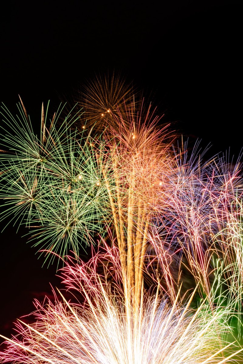 ganiii555's tweet photo. 今年も咲いた https://t.co/fx8hCc4lKP