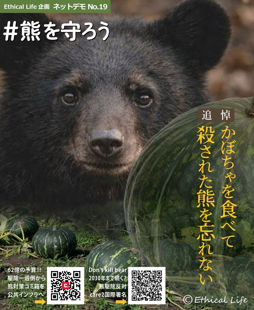CvqRluwg's tweet photo. 首相官邸、環境省、地方自治体全てのクマ対策に反対します。
クマ生息数推定値の水増し操作を糾弾します。
利権まみれの関係者全てを糾弾します。

＃クマを守ろう https://t.co/hzbCF9AQYM