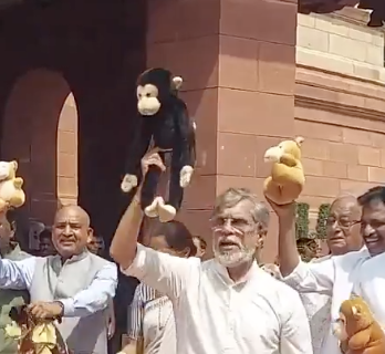 captain__crunch's tweet photo. THIS IS GOING GIGA VIRAL

The mascot of the Jeet revolution

the opposition party in India stormed the parliament and are protesting with the "56-inch small monkey" to criticize Modi

the 56-inch small monkey is becoming the symbol of India's revolution
https://t.co/WMswfji5dt https://t.co/TuJb3yqa6T