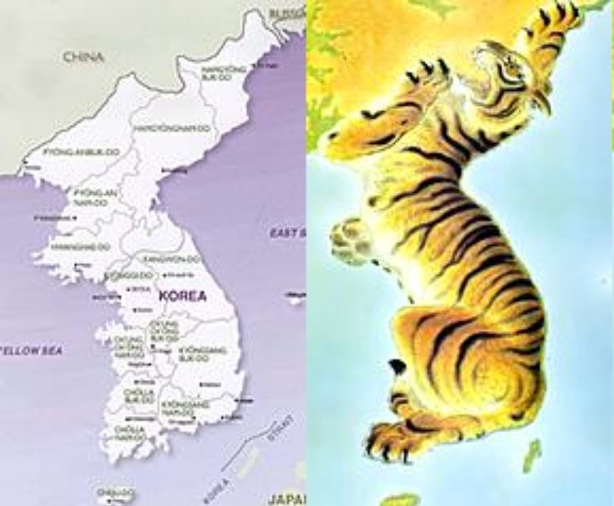 ldhbbh's tweet photo. yang aku ingat dari #Exhuma adalah teori tentang 'rubah melukai punggung harimau'

jika dilihat secara detail, peta semenanjung korea ini menyerupai harimau.

menurut sejarah, korea mengalami masa pendudukan jepang selama 35 tahun di tahun 1910-1945. 

pada masa akhir penjajahannya, tersiar kabar bahwa jepang memasang 'pasak besi' di sebuah area pegunungan korea. 

lokasi pasak besi ini diyakini berada di daerah perbatasan korea utara dan korea selatan.

pasak besi ini bertujuan untuk memberikan efek negatif kepada korea sekaligus menandai bahwa area itu masih merupakan daerah kekuasaan jepang. 

entah benar atau tidak, tapi sampai sekarang korea terpecah belah dan tidak bisa bersatu.

pasak besi ini dipasang oleh seorang biksu jepang yang bernama gisune, konon katanya dia adalah siluman rubah.

gisune dengan ilmu hitamnya memasang pasak besi dengan cara menancapkannya di tubuh seorang jenderal jepang dan menguburkannya secara vertical.

jadi kesimpulannya gisune si siluman rubah melukai punggung harimau (wilayah perbatasan korea selatan dan korea utara) dengan pasak besi yang dia tanam di tubuh jenderal jepang itu.

teori apalagi yang paling kalian ingat waktu itu?