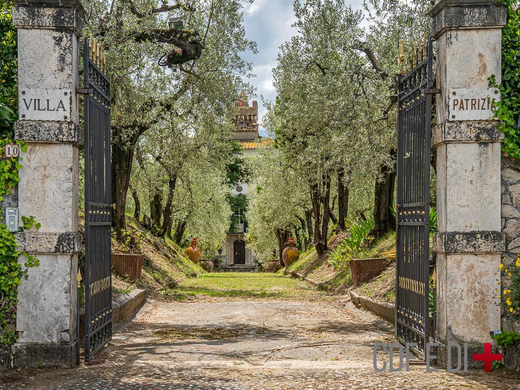 TimurNegru's tweet photo. If I sell my company for $500M, I'm buying this 18th-century Italian estate for €1.6M ($1.8M).

- 1 hr from Rome
- 24 acres
- olive grove

I can imagine my grandkids running between these centuries-old olive trees, while the rest of the family is having meaningful conversations around a big table al fresco.
