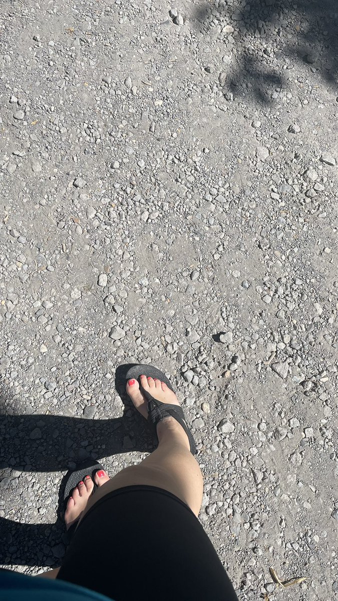 RegenSoles's tweet photo. Summer ☀️ https://t.co/BfzuSti4uj
