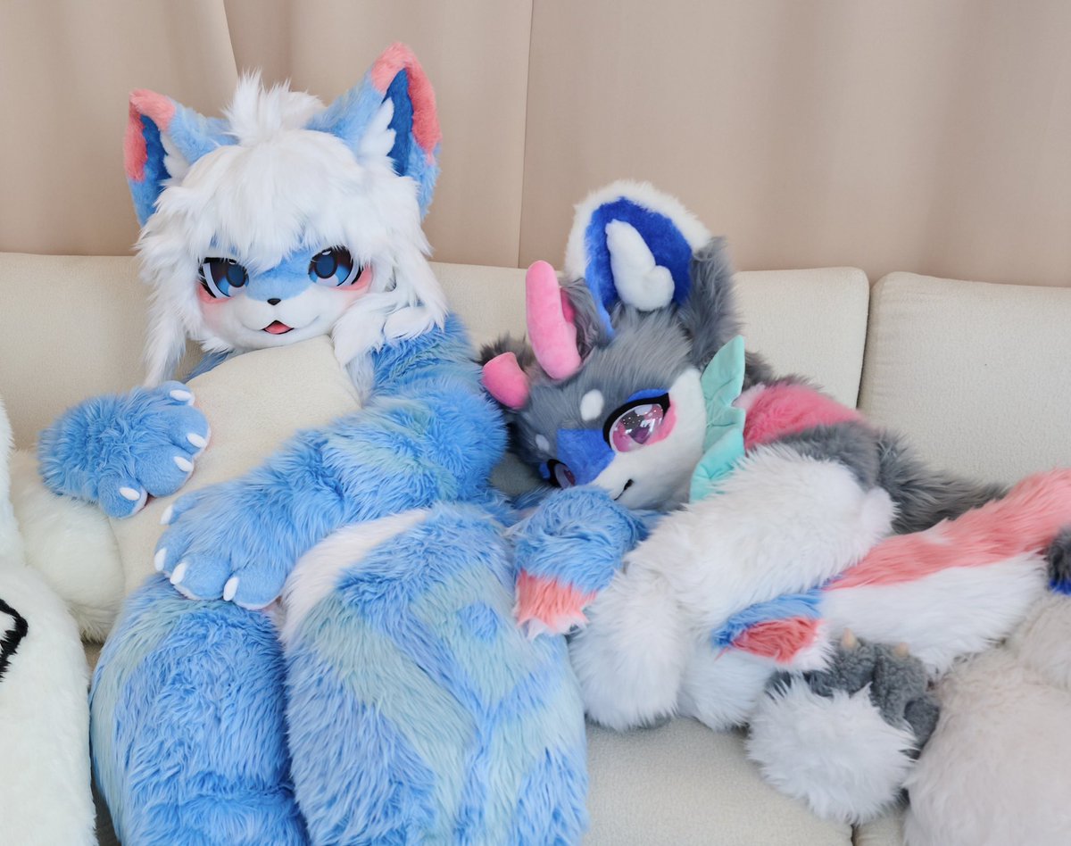 chavi_fur's tweet photo. 푹신한 내 꼬리 

안고 있기 좋은가봐 ••• 🛌

#FursuitEveryday #fursuit https://t.co/XCJXx9moYr