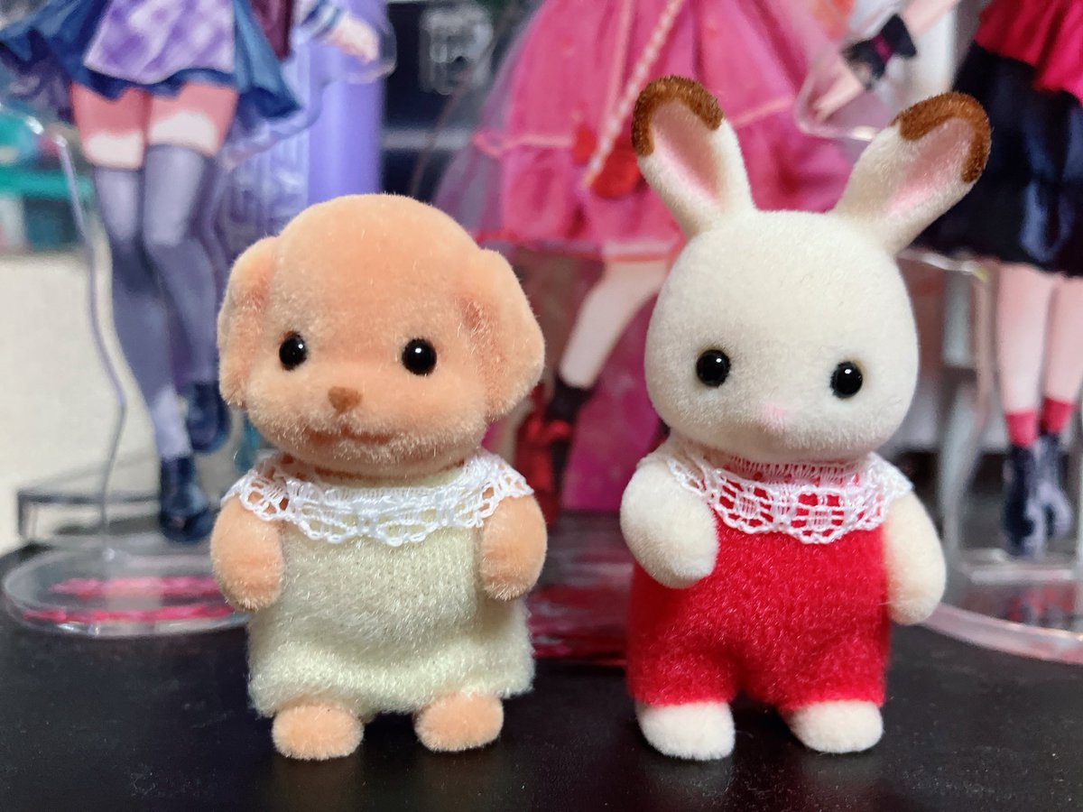 s4_bau's tweet photo. シルバ���アのファミリー1名増えました🐶
仲良くしなね https://t.co/tK5EkHrYJE