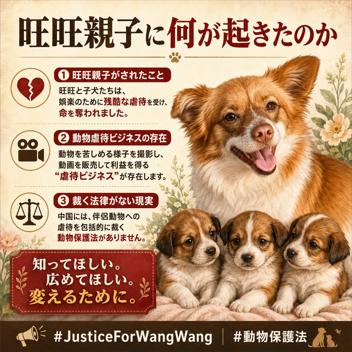luchecat's tweet photo. #ツイデモ敢行中
#掲揚未成年者犬虐待事件
#動物虐待ビジネス撲滅 https://t.co/mM12Ehk3bB