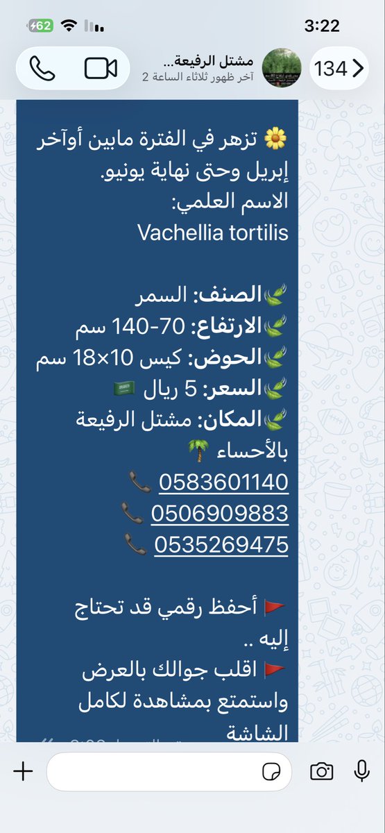 alrafieafarm's tweet photo. #السمر، شجرة صحراوية مقاومة، تصل لارتفاع 5-10م ، أزهارها بيضاء عاسلة، حطبها يتميز برائحة احتراق طيبة جداً، قرون بذورها حلزونية ملتوية.

🌼 تزهر في الأشهر 5،6 م
الاسم العلمي: Vachellia tortilis
#مشتل_الرفيعة بـ #الأحساء 🌴
📞 0583601140
0506909883
0535269475
@Seeds_Bank https://t.co/vMz0UPAY8G