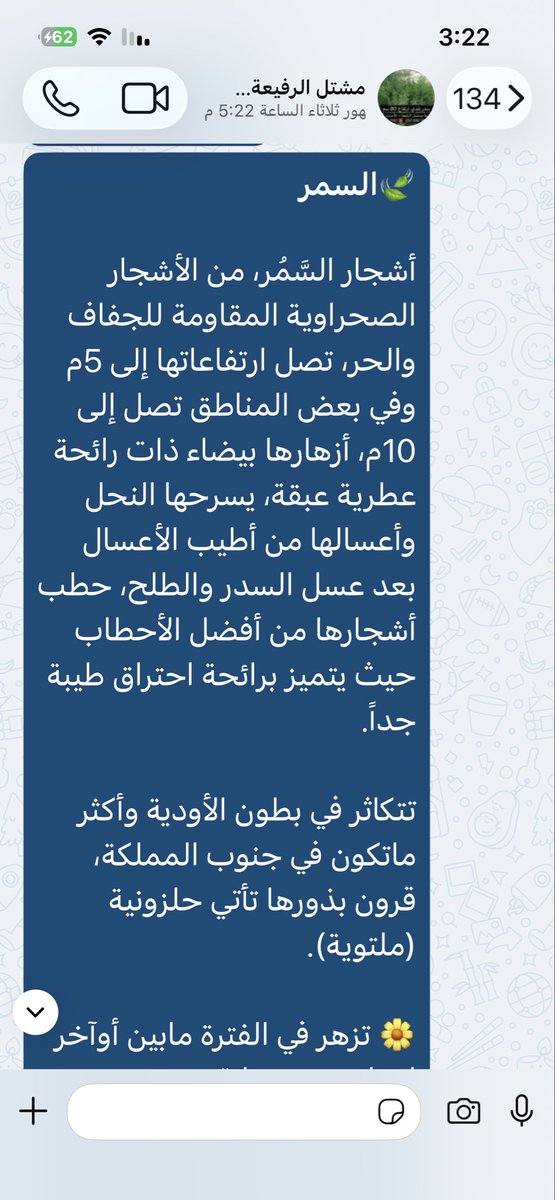 alrafieafarm's tweet photo. #السمر، شجرة صحراوية مقاومة، تصل لارتفاع 5-10م ، أزهارها بيضاء عاسلة، حطبها يتميز برائحة احتراق طيبة جداً، قرون بذورها حلزونية ملتوية.

🌼 تزهر في الأشهر 5،6 م
الاسم العلمي: Vachellia tortilis
#مشتل_الرفيعة بـ #الأحساء 🌴
📞 0583601140
0506909883
0535269475
@Seeds_Bank https://t.co/vMz0UPAY8G