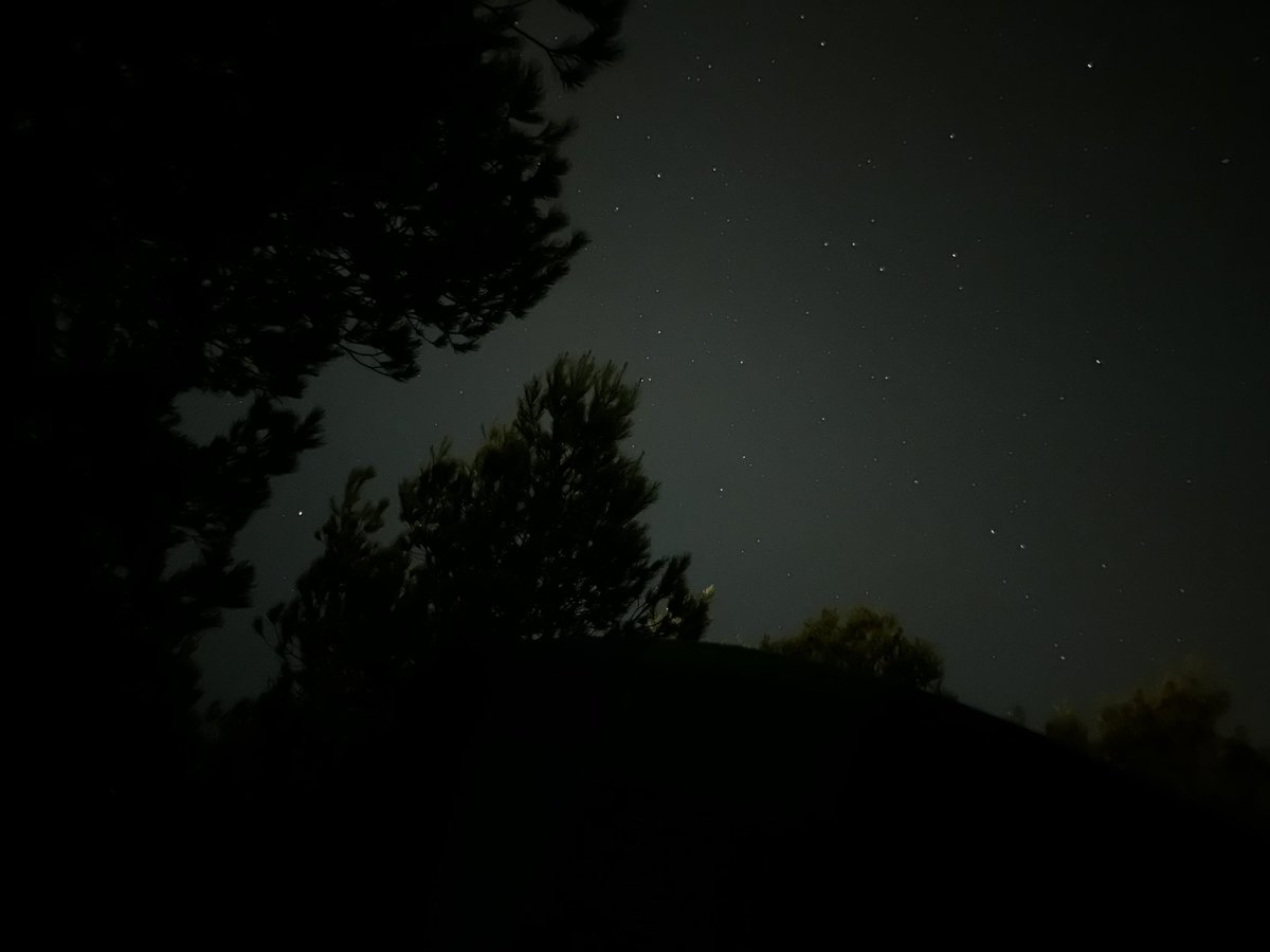 cute_hooman's tweet photo. Puis aller voir les étoiles filantes sur la plage et s’endormir au bruit des vagues… (supplément la musique des discothèques à fond à 3h du mat ptdrrr ils connaissent pas la nuisance sonore ici) https://t.co/IcBXy3vWTF
