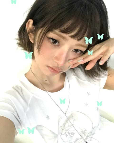 naeorei's tweet photo. The butterfly has a bob,
₊˚⊹ 𐦍༘⋆₊ ⊹ https://t.co/cUSVduBHEB