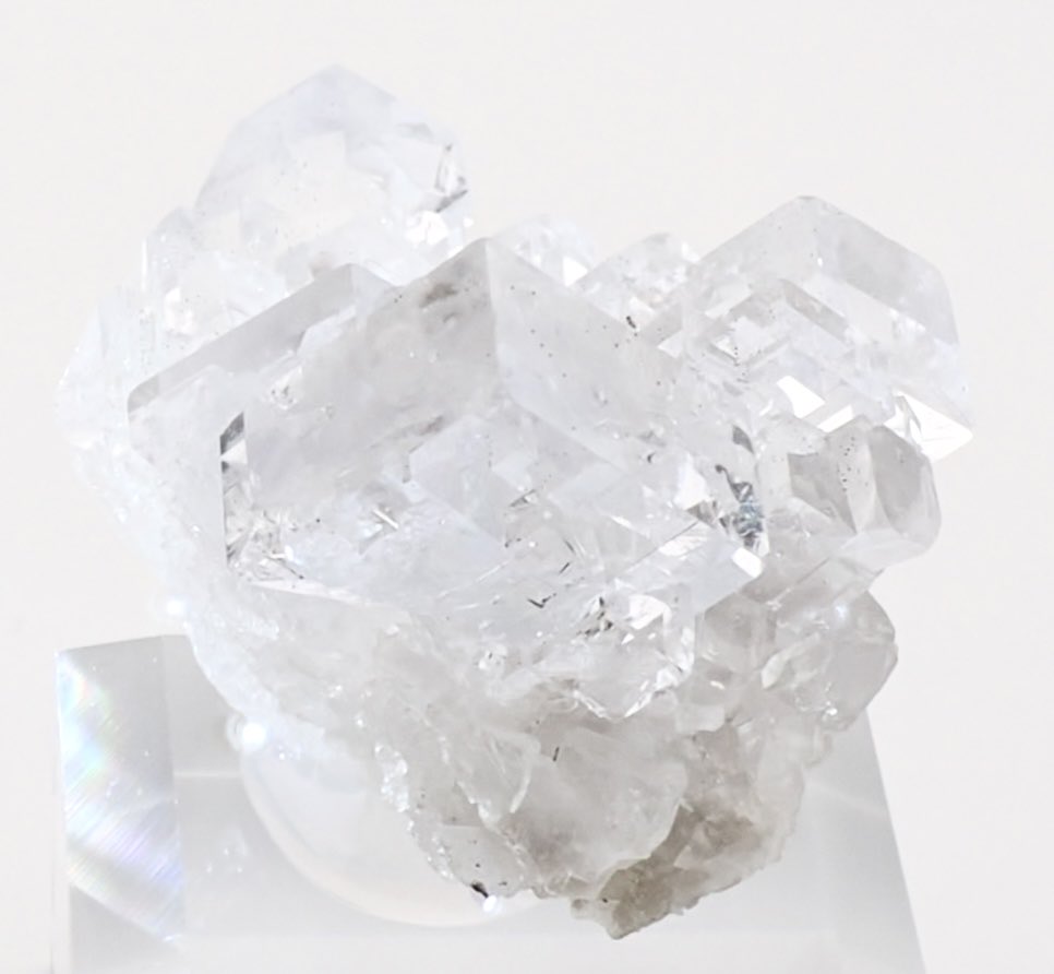 seitaka_mineral tweet picture