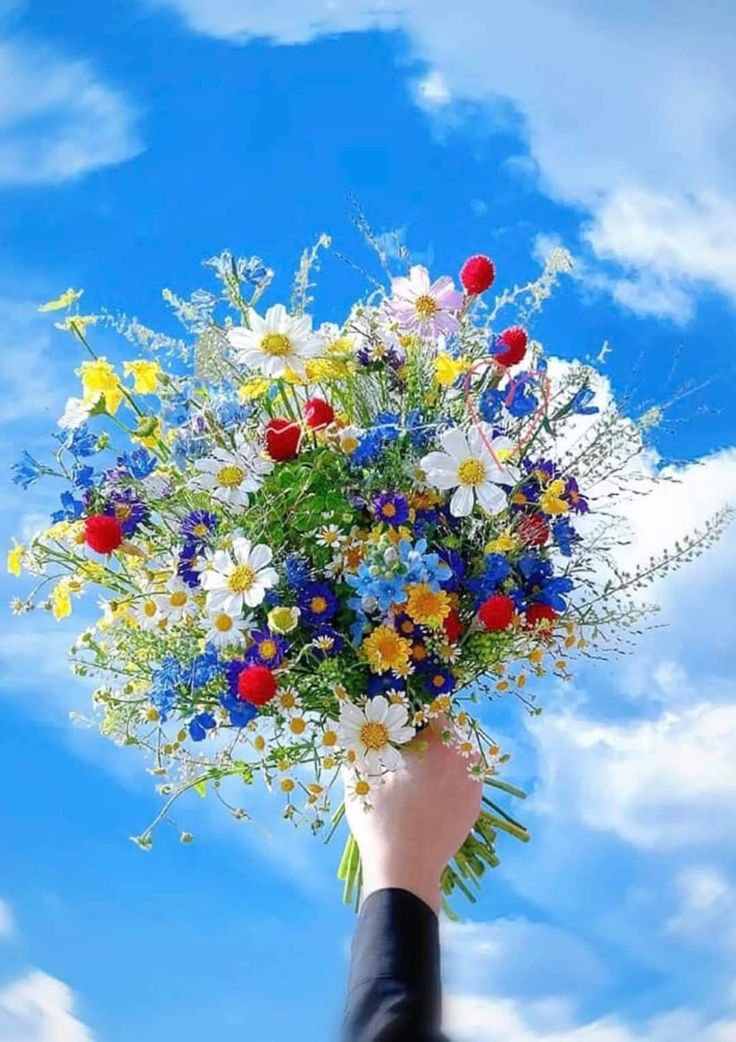 FLOWERS3700's tweet photo. https://t.co/dmfaYT4MH2