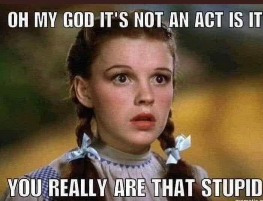 putsspangler's tweet photo. @BrennCookk @CreationsEris @JonathanTurley You forgot California the northeast coast and Illinois. Your such an idiot https://t.co/YkbCOhWG0g