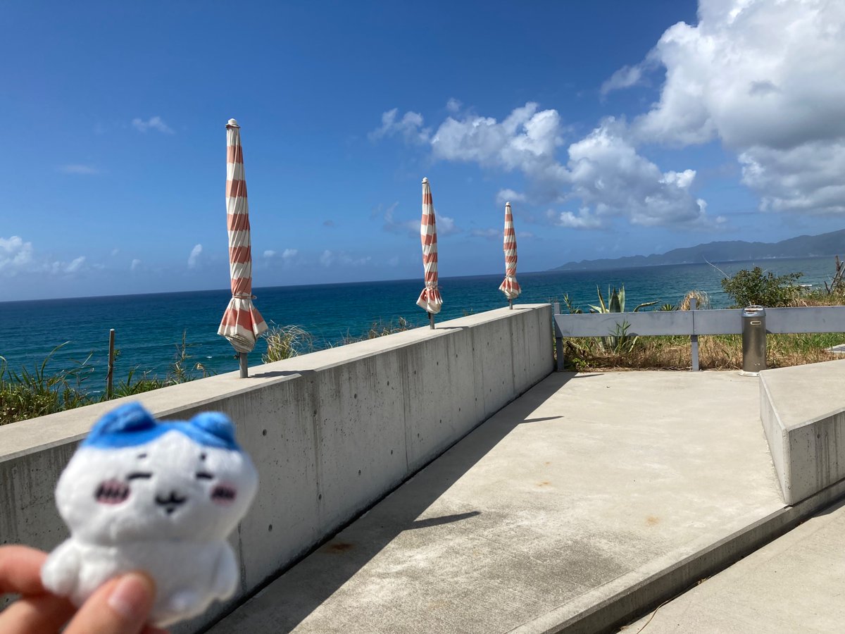 _nk1225's tweet photo. 楽しすぎた、夏… https://t.co/GwhZMBNU3a