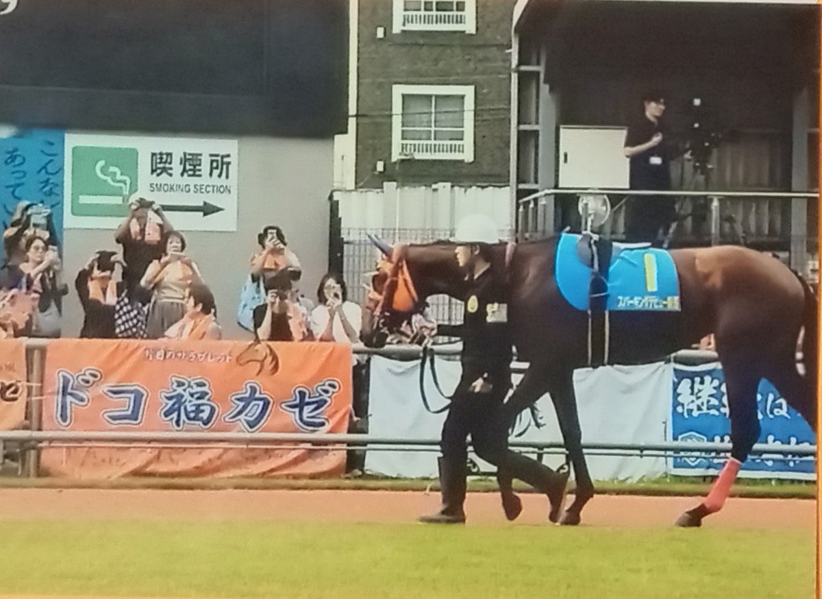 nnishinsu's tweet photo. 仕事から帰宅すると、素敵なギフトが届いていました。福ちゃんのデビュー記念の写真とステッカー。横断幕にプリントされたアイコンも見つけました。
＃片目のサラブレッド ＃ドコフクカゼ ＃碧雲牧場 ＃治郎丸敬之さん https://t.co/09c6PRf7mg