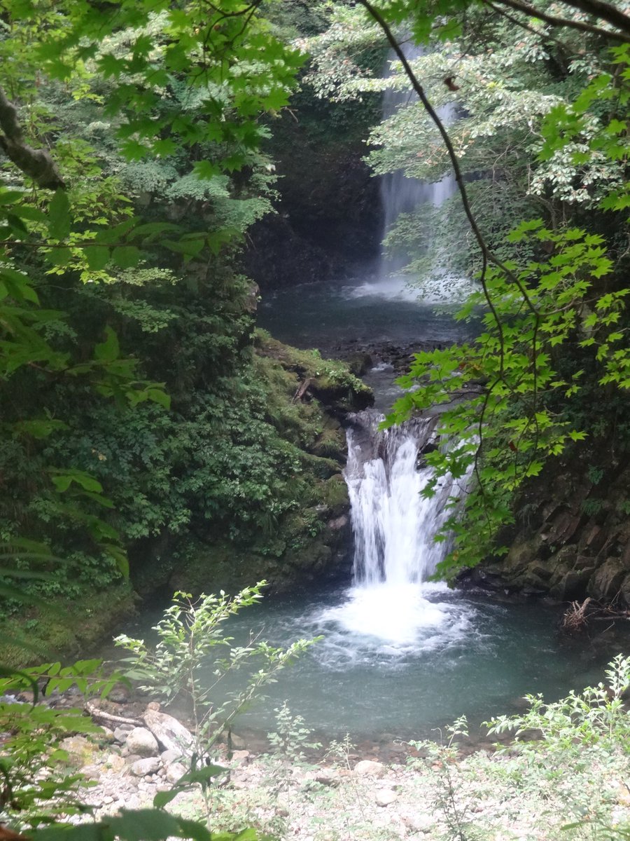 u60i6za's tweet photo. 大山滝

今年も沢山滝巡れて幸 https://t.co/yZVbceCyRl