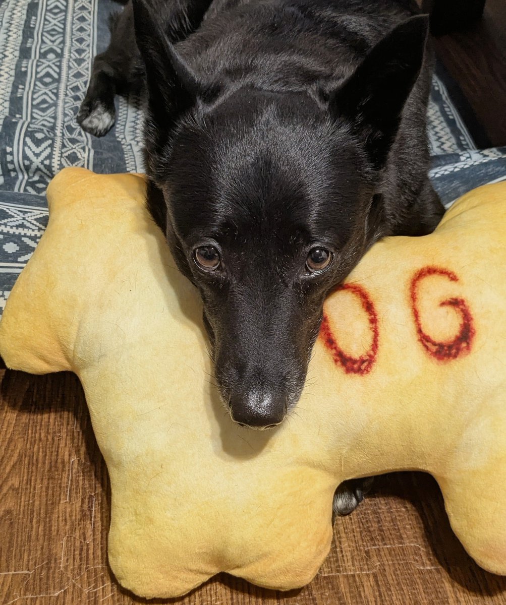 NINGENandAIKEN's tweet photo. このたべっこどうぶつの犬クッション、吉徳が作ってるんすね。顔が命の。顔ないけど。 https://t.co/7WX2PdY8FM
