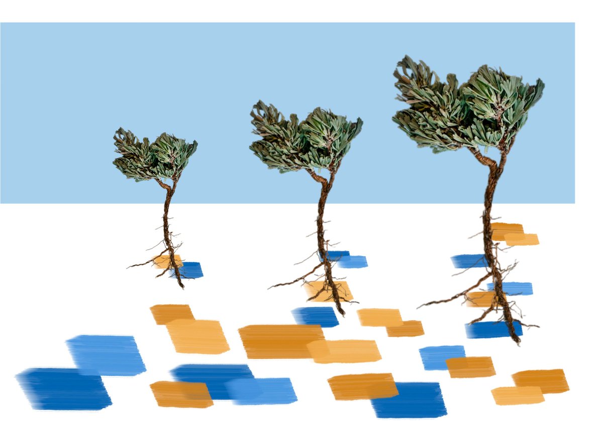 qdacity's tweet photo. Grounded theory helps you build theory from data rather than impose it in advance. Using constant comparison, theoretical sampling, and iterative coding, you can develop concepts grounded in participants’ perspectives. https://t.co/7dZmuhh5Kx

#QDAcity #QDA #ResearchMethods https://t.co/1gv2WmnQ9V