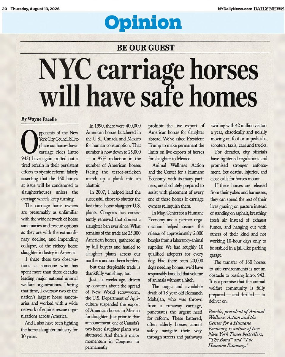 nyclass's tweet photo. The carriage industry wants you to believe the 160 horses will be sent to slaughterhouses if Intro 943 passes. That is NOT the truth.

Wayne Pacelle, who has spent three decades leading the fight against horse slaughter, just made it plain in the Daily News today: Animal Wellness Action, Center for a Humane Economy, and other partners are ready to place every single one of these horses. When they freed 2,000 lab beagles, they had 10 qualified homes waiting for every dog. The sanctuaries are ready. They can handle the volume. 

Instead of 10-hour days on hot asphalt, breathing exhaust and dodging 42 million tourists, these horses can spend their years grazing on pasture, breathing fresh air, and living like horses were meant to live.

The tragic death of 18-year-old Romanch Mahajan showed us the cost of waiting. Safe homes are not an obstacle to reform. They're a promise.

Free the horses. Help workers. Save lives. The Year of the Horse is the year we finally do it! 🐴

Head to the link in bio to send an automatic email to your Council member to pass Romanch's Law, Intro 943.