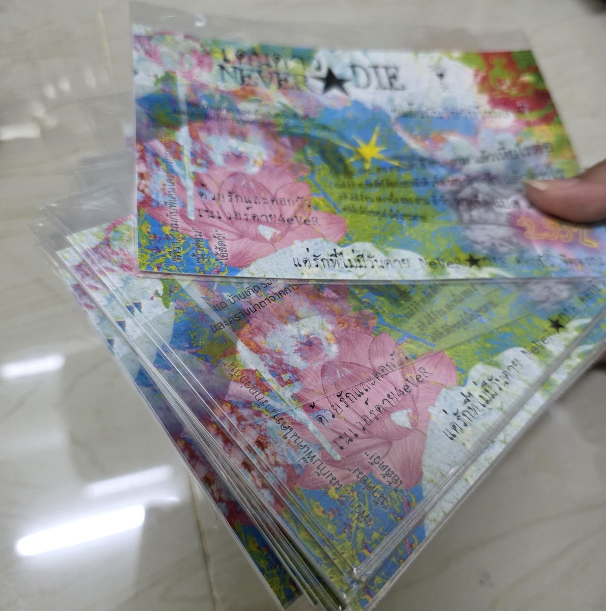 MintChoc_0204 tweet picture